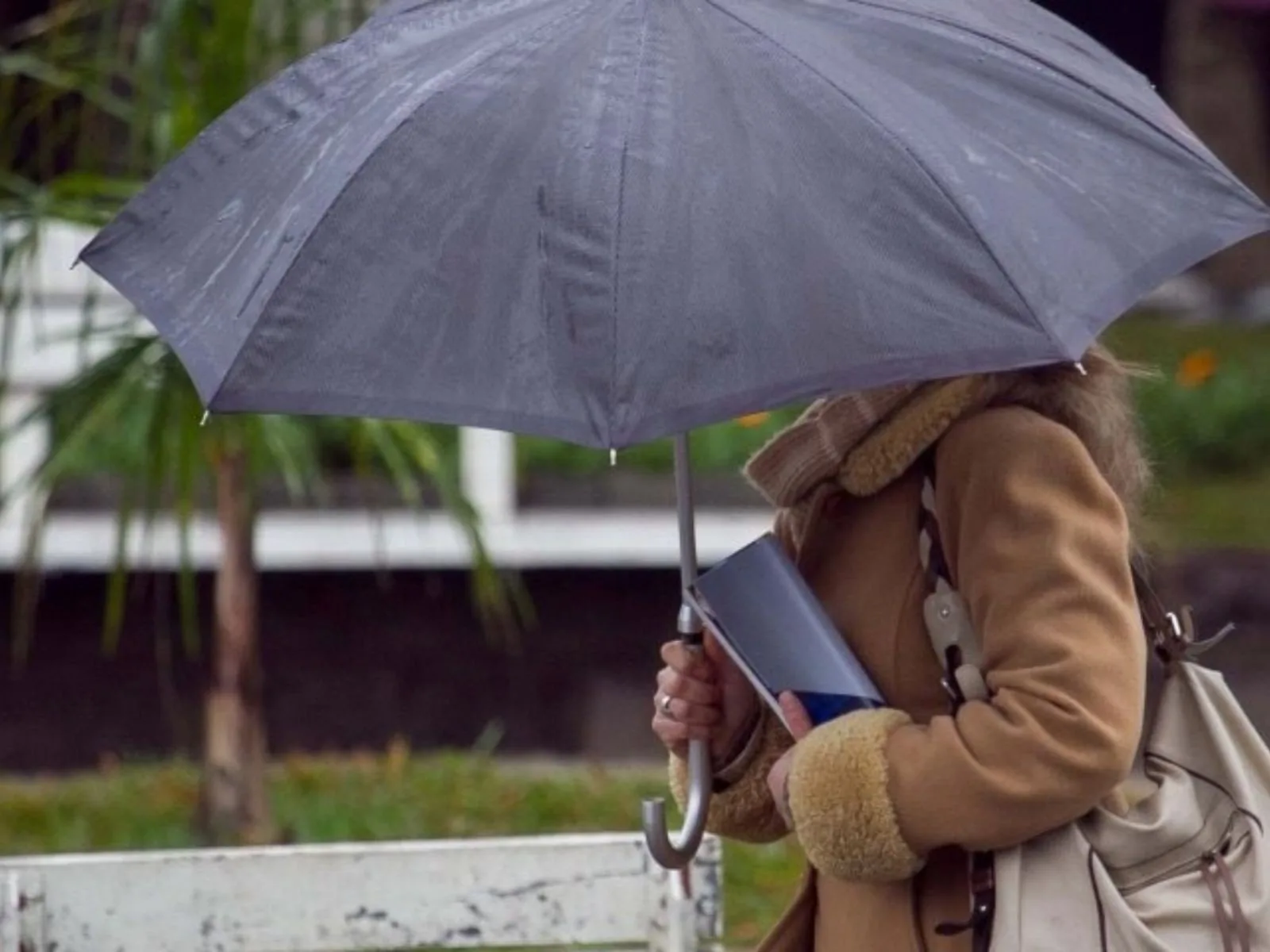 Onda de frio e chuvas no Sudeste: Previsões para os próximos dias