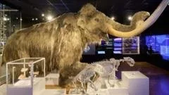 Museu The Box, em Plymouth, é reconhecido como o Melhor Museu do Reino Unido