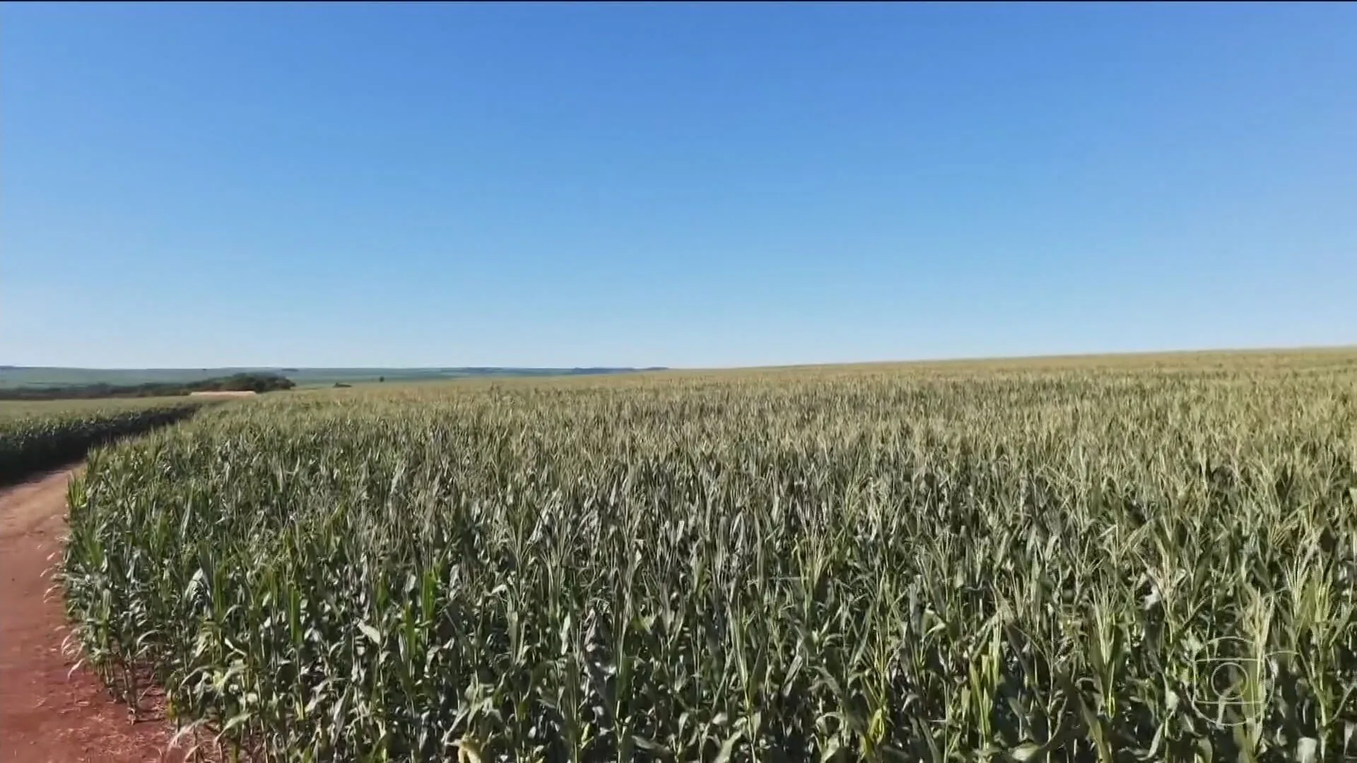 Impactos do El Niño nas safras tropicais e no agronegócio