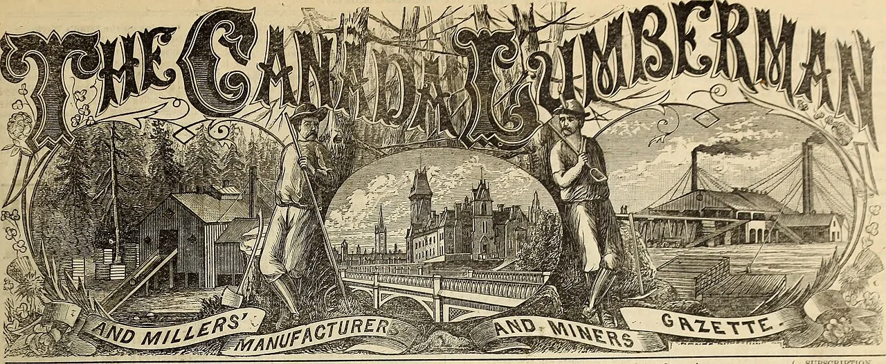Gabiroba Gigante: A Fruta Rara da Mata Atlântica que Conquista pela Saúde e Sabor