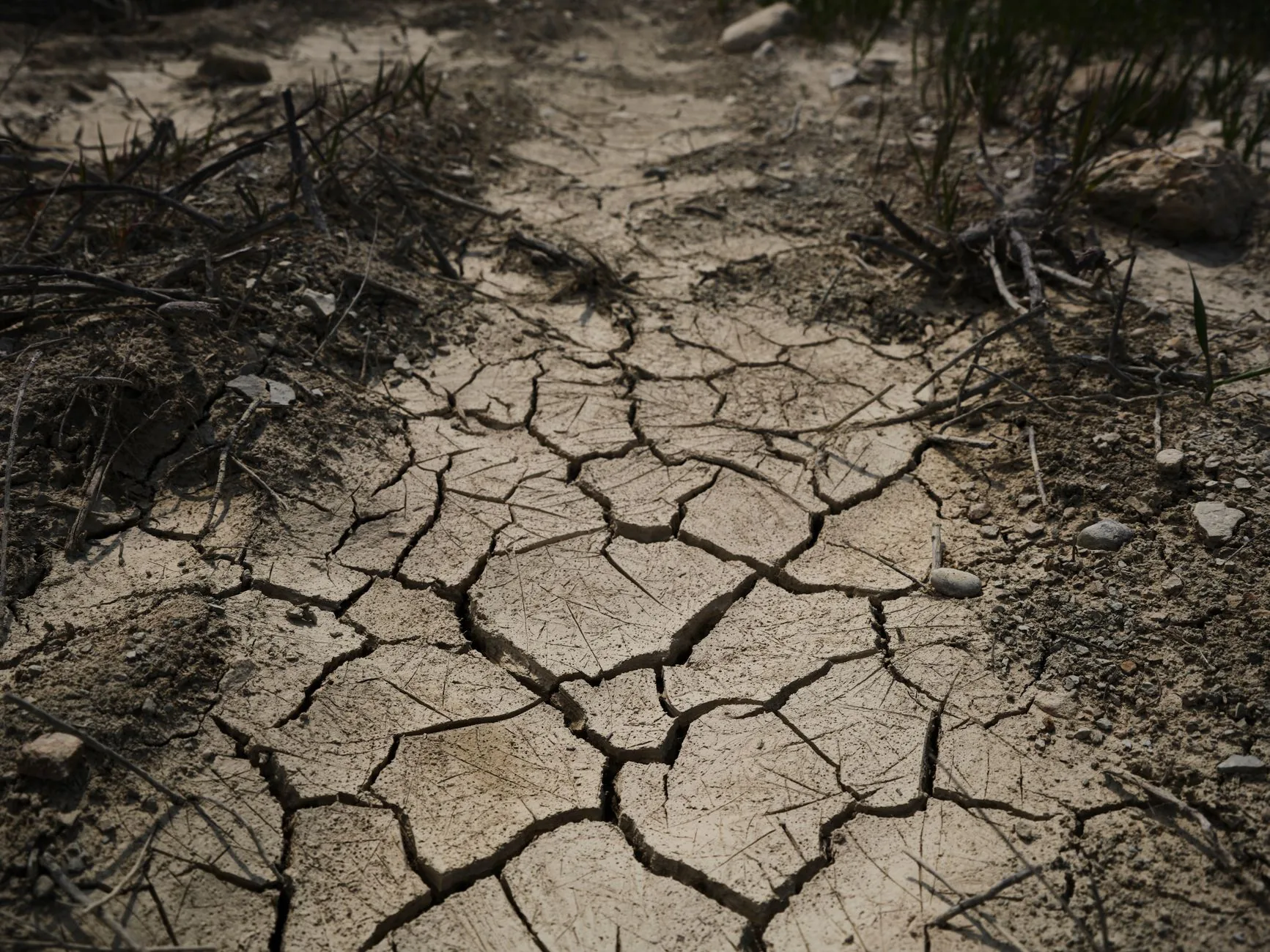 Fim da onda de calor traz alívio ao Reino Unido neste fim de semana