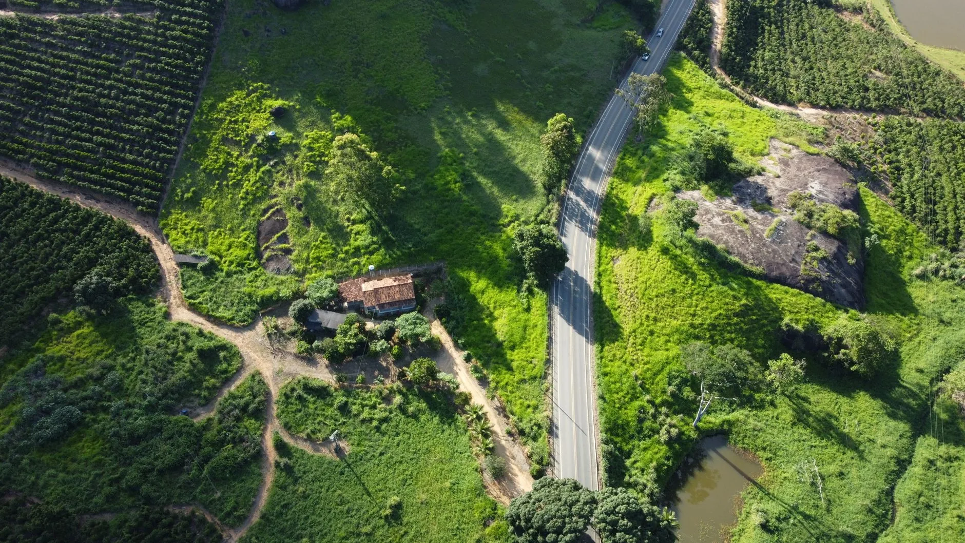 Avanço dos Drones na Agricultura Brasileira: Uma Revolução Silenciosa