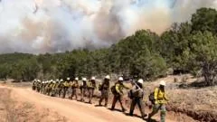 Três bombeiros morrem em combate a incêndios florestais na fronteira entre Colorado e Utah