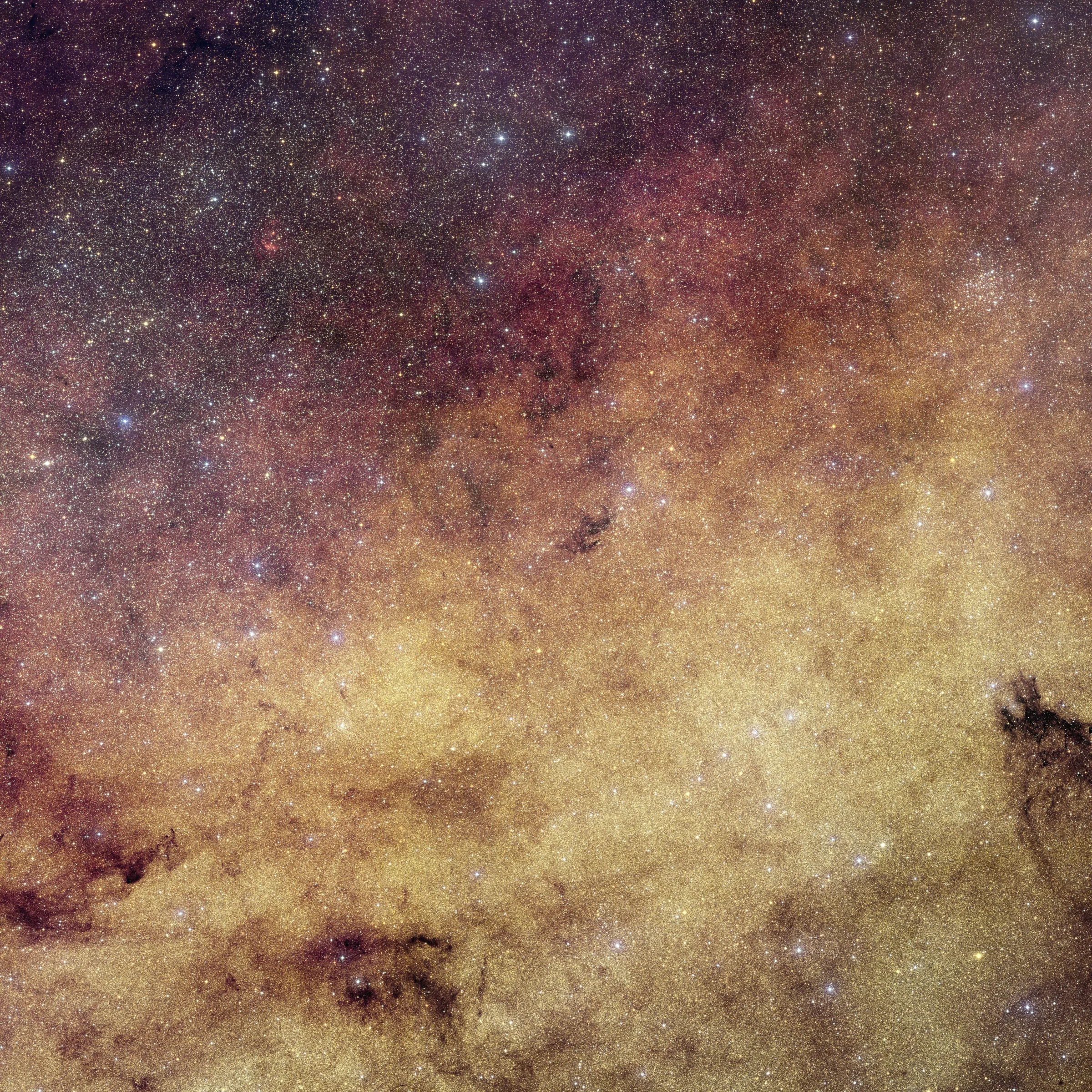 Telescópio Euclid da ESA Revela Imagem Detalhada do Centro da Via Láctea