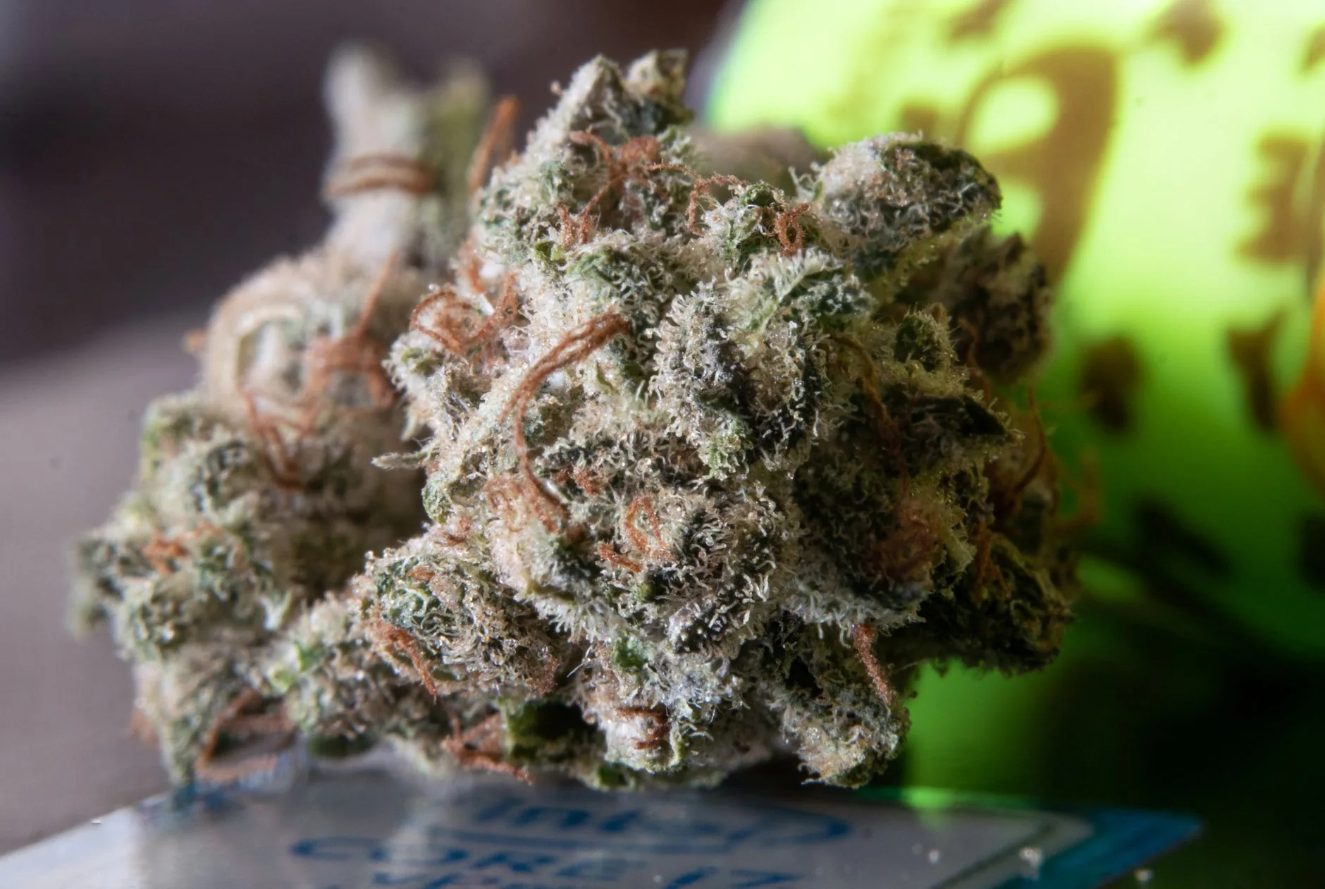 DEA Defende Posição sobre Reclassificação da Cannabis em Audiência
