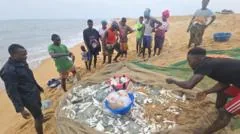 Pescadores africanos responsabilizam barcos chineses por suas dificuldades