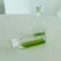 Alterações genéticas em microalgas devido ao aquecimento moderado