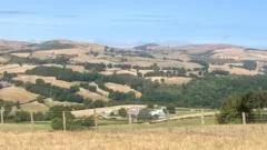 River levels approach all-time low as drought announcement looms