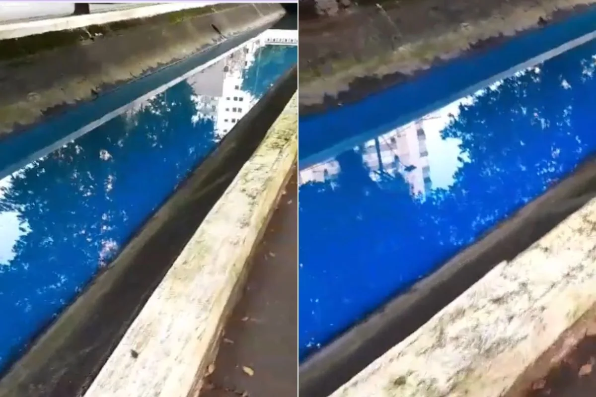 Canal 4 em Santos apresenta coloração azul fluorescente