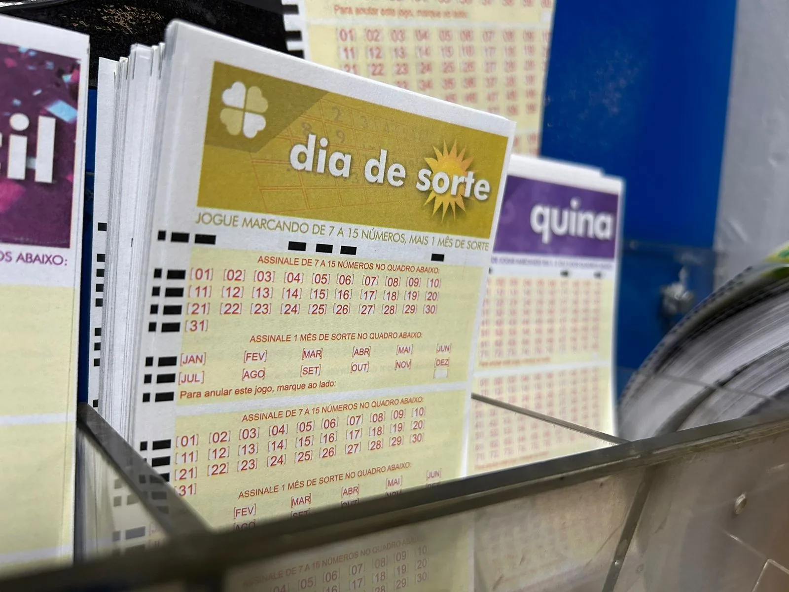 Resultado do concurso 1236 da Dia de Sorte é divulgado