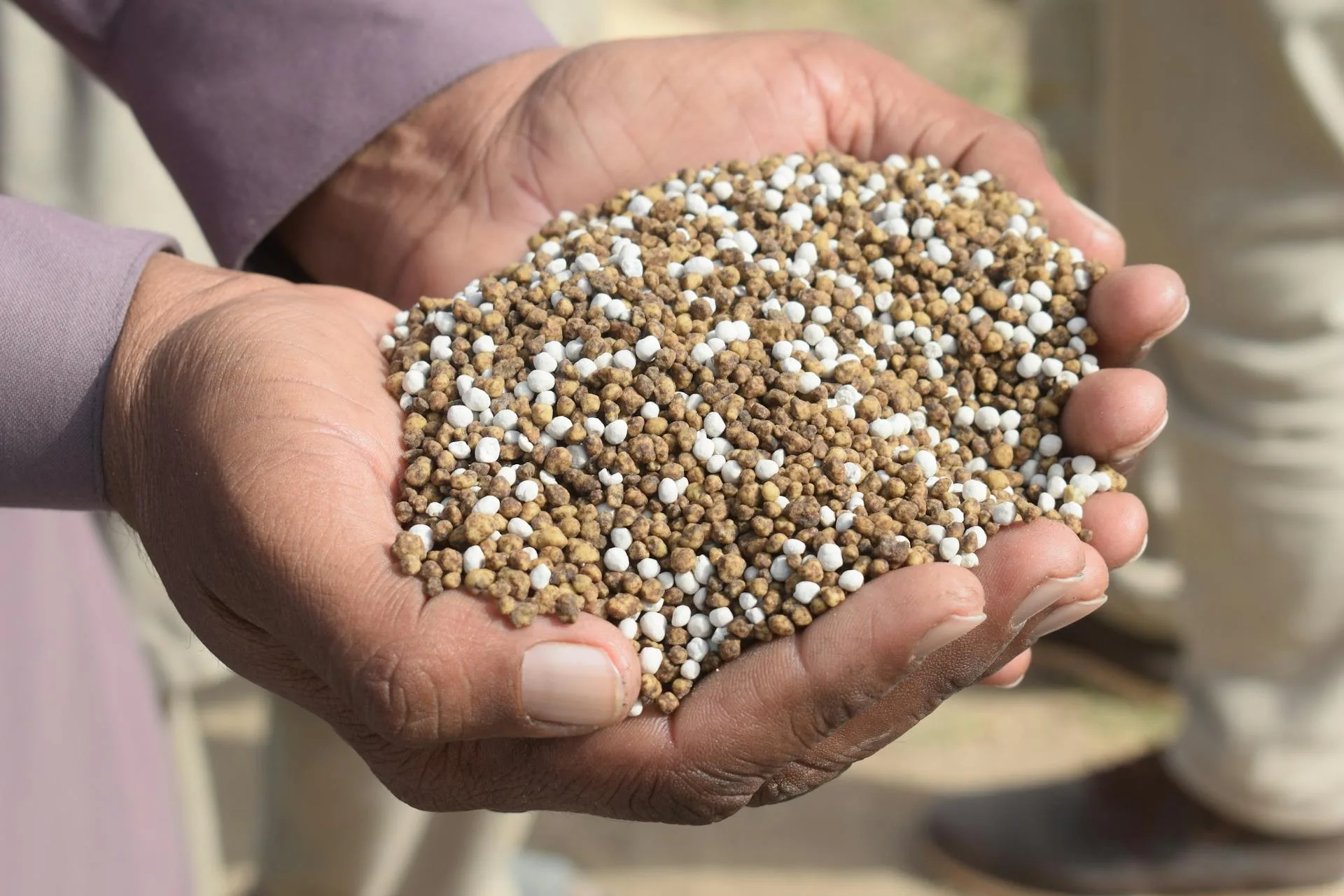 Crise dos fertilizantes pode elevar preços de alimentos no Brasil