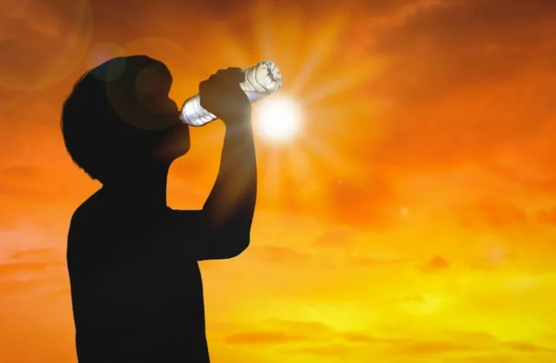 Calor de até 36°C coloca Goiás em alerta; veja as cidades com maior risco de incêndios