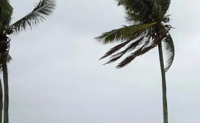 Avanço de frente fria traz alerta de tempestades e ventos fortes