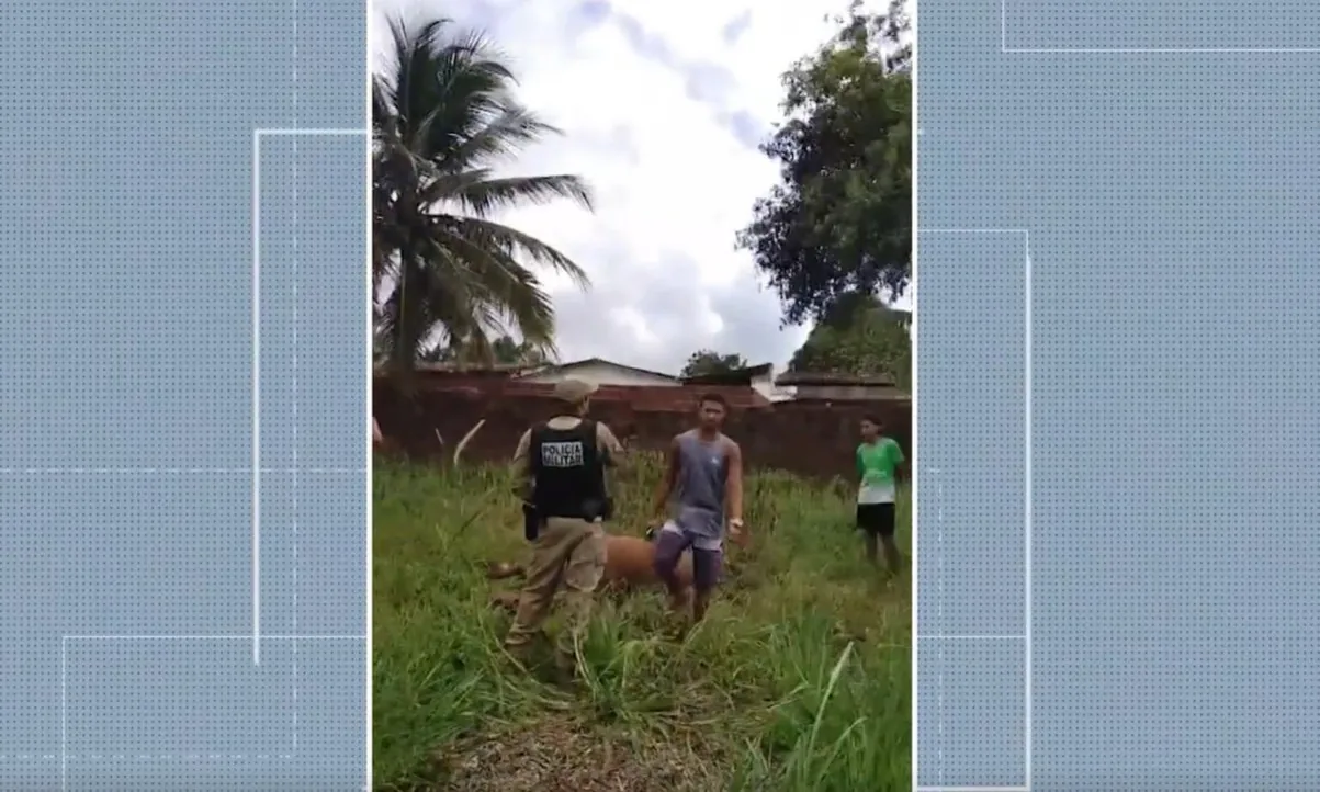 Coronel da reserva da PM é investigado por disparos contra animais na Grande João Pessoa
