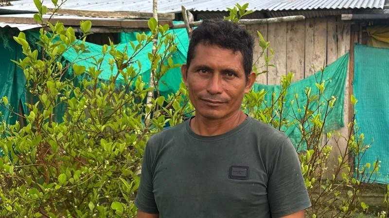 Agricultores colombianos enfrentam desafios ao abandonar o cultivo de coca