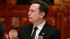 'Let's enjoy the ride' says Elon Musk, as AI fears mount
