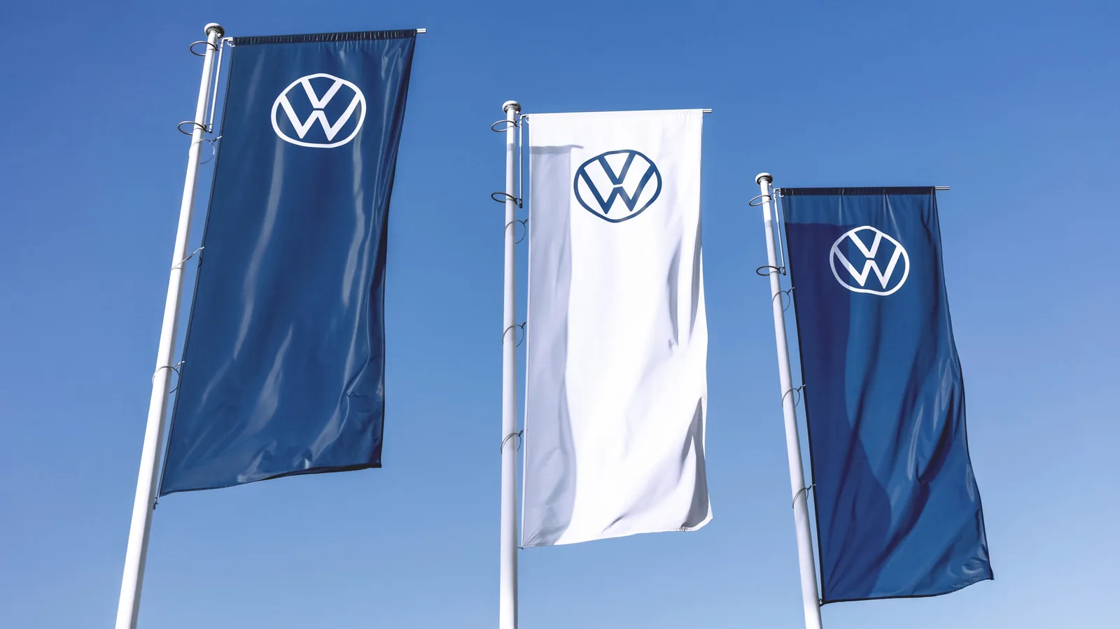 Volkswagen contrata 100 ovelhas para fazenda solar na Polônia