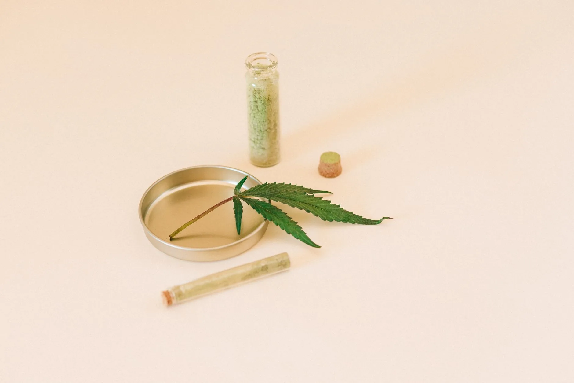 STF definirá regras sobre cannabis medicinal sem registro na Anvisa