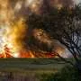 Africa's wildfire season is actually getting shorter, scientists think they know why