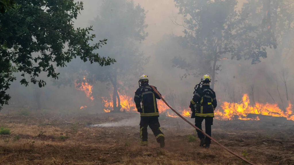 Live: France orders evacuations near Bordeaux as wildfires sweep through southwest