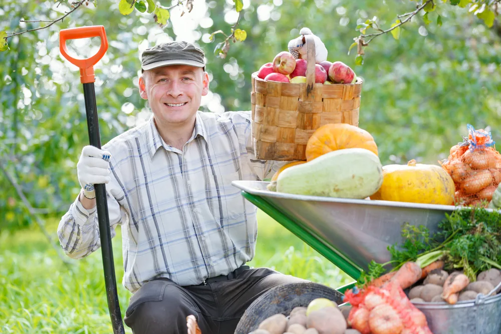 Ceasas movimentam 16,6 milhões de toneladas de frutas e hortaliças em 2025