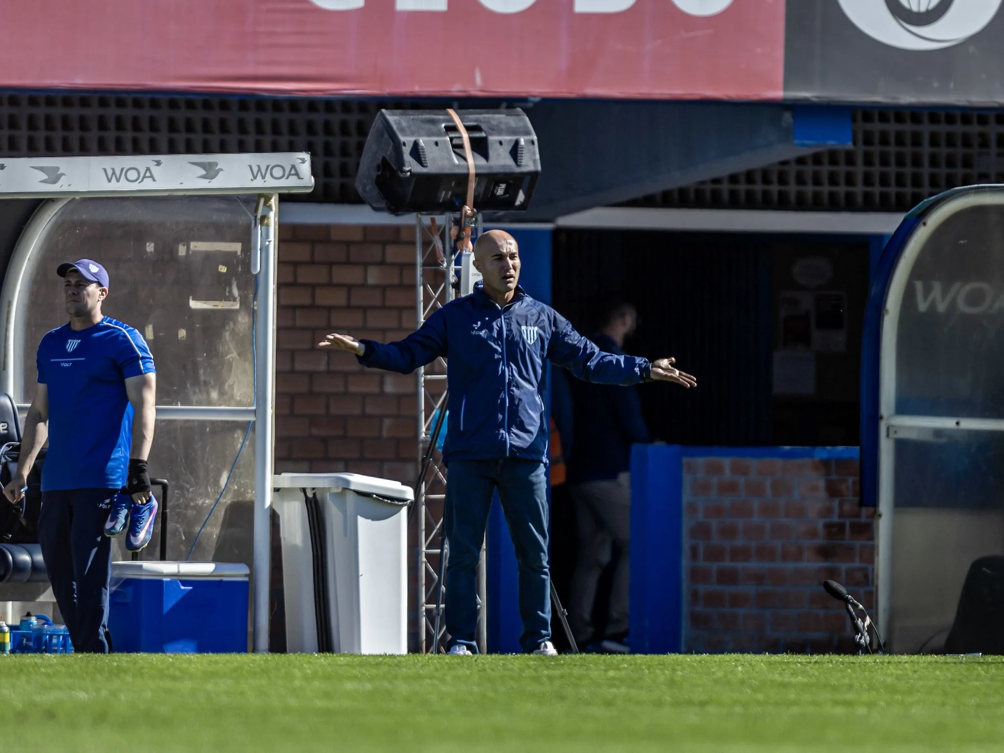 Cauan de Almeida teve o quinto melhor aproveitamento entre os técnicos do Avaí desde 2022