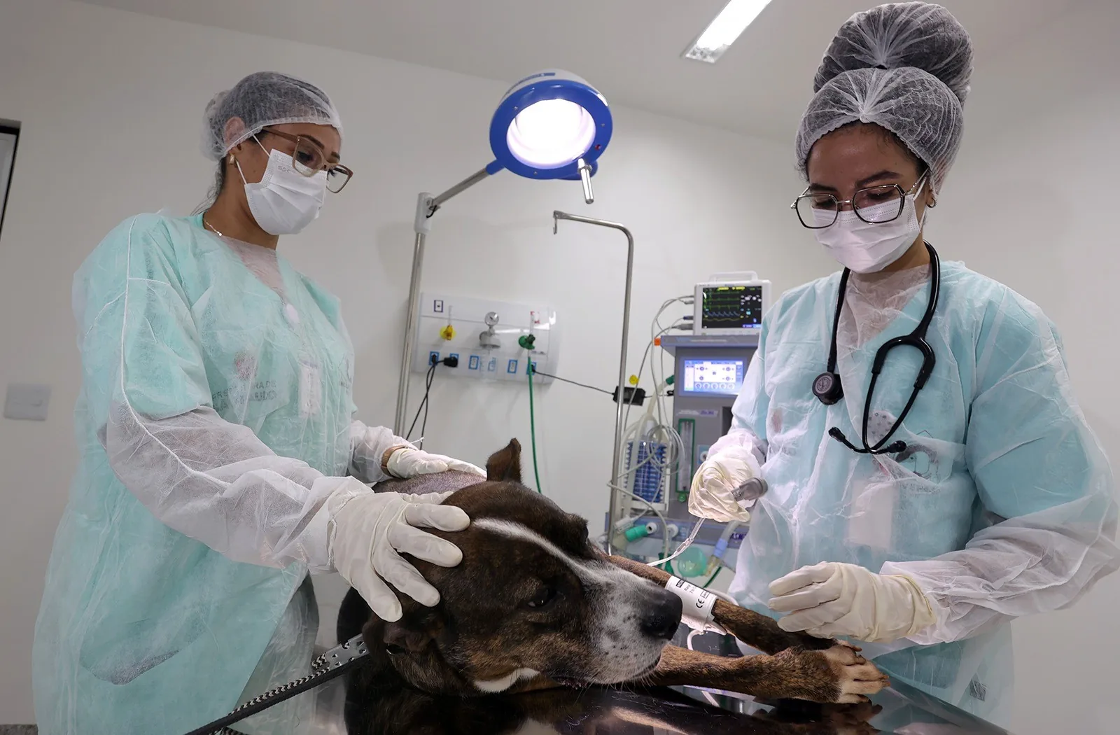 Prefeitura de SP inaugura quinto hospital veterinário público da cidade