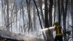 Incêndio florestal na Espanha deixa 12 mortos em meio a onda de calor