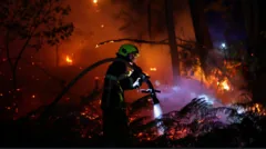 França enfrenta incêndios florestais devastadores; 55 mil evacuados
