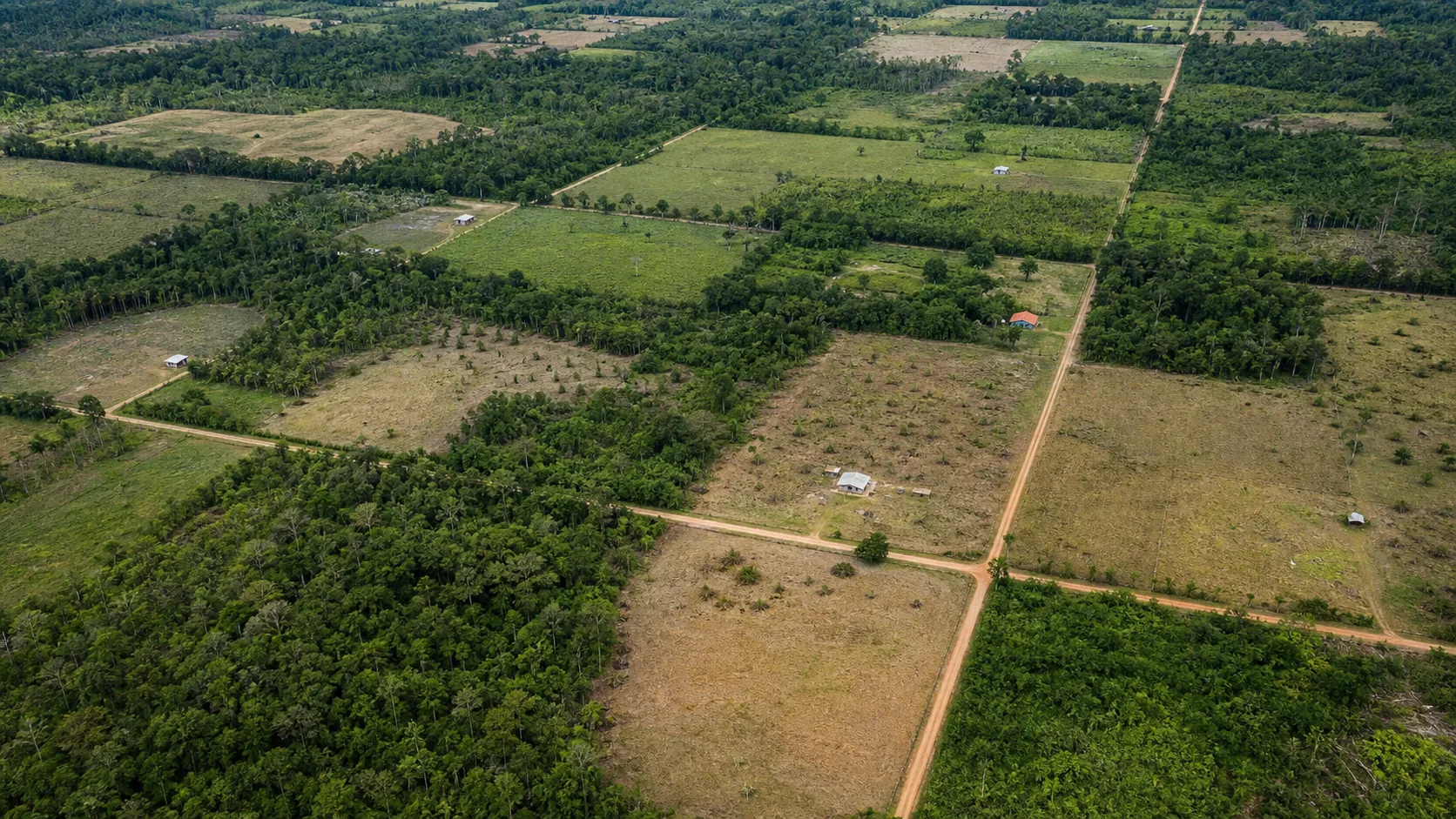 Terra da Gente destina 57 mil hectares à reforma agrária no Paraná