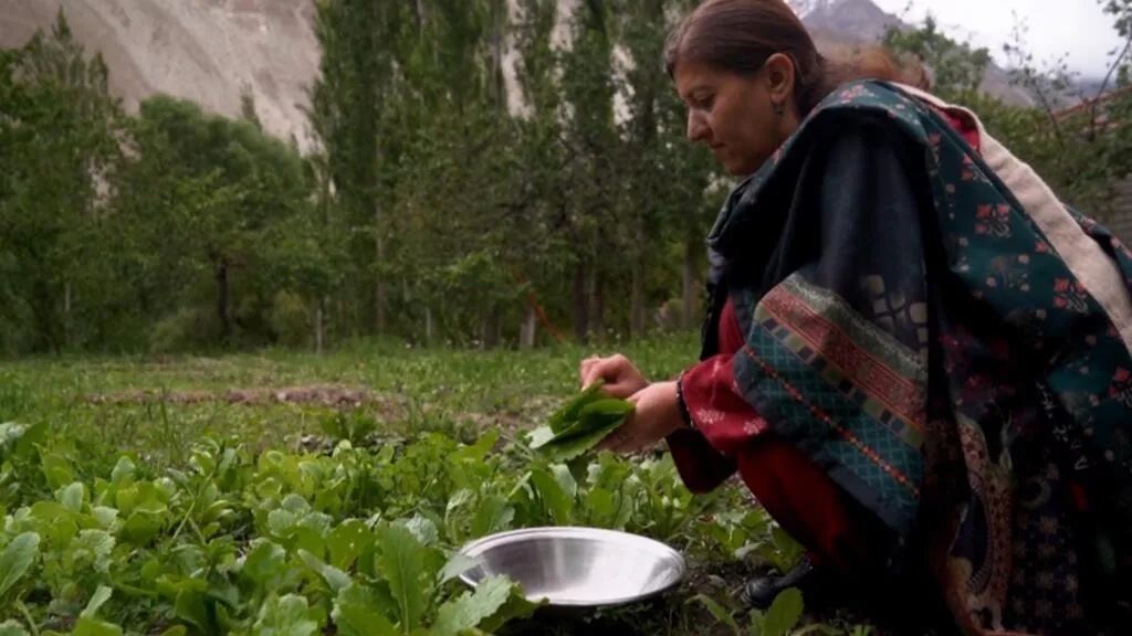 Gilgit-Baltistan: Ajo de turismo no Paquistão enfrenta desafios climáticos e de desenvolvimento