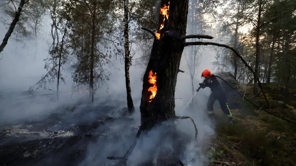 Incêndios florestais devastam mais de 1.900 hectares na Floresta de Fontainebleau, França