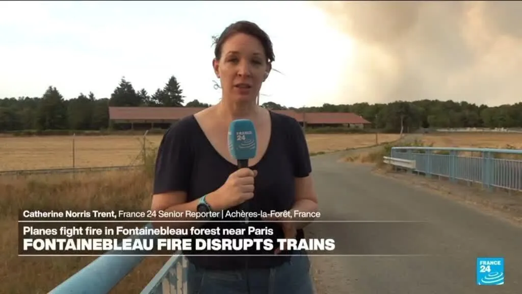 Dois presos após incêndio devastar floresta de Fontainebleau perto de Paris