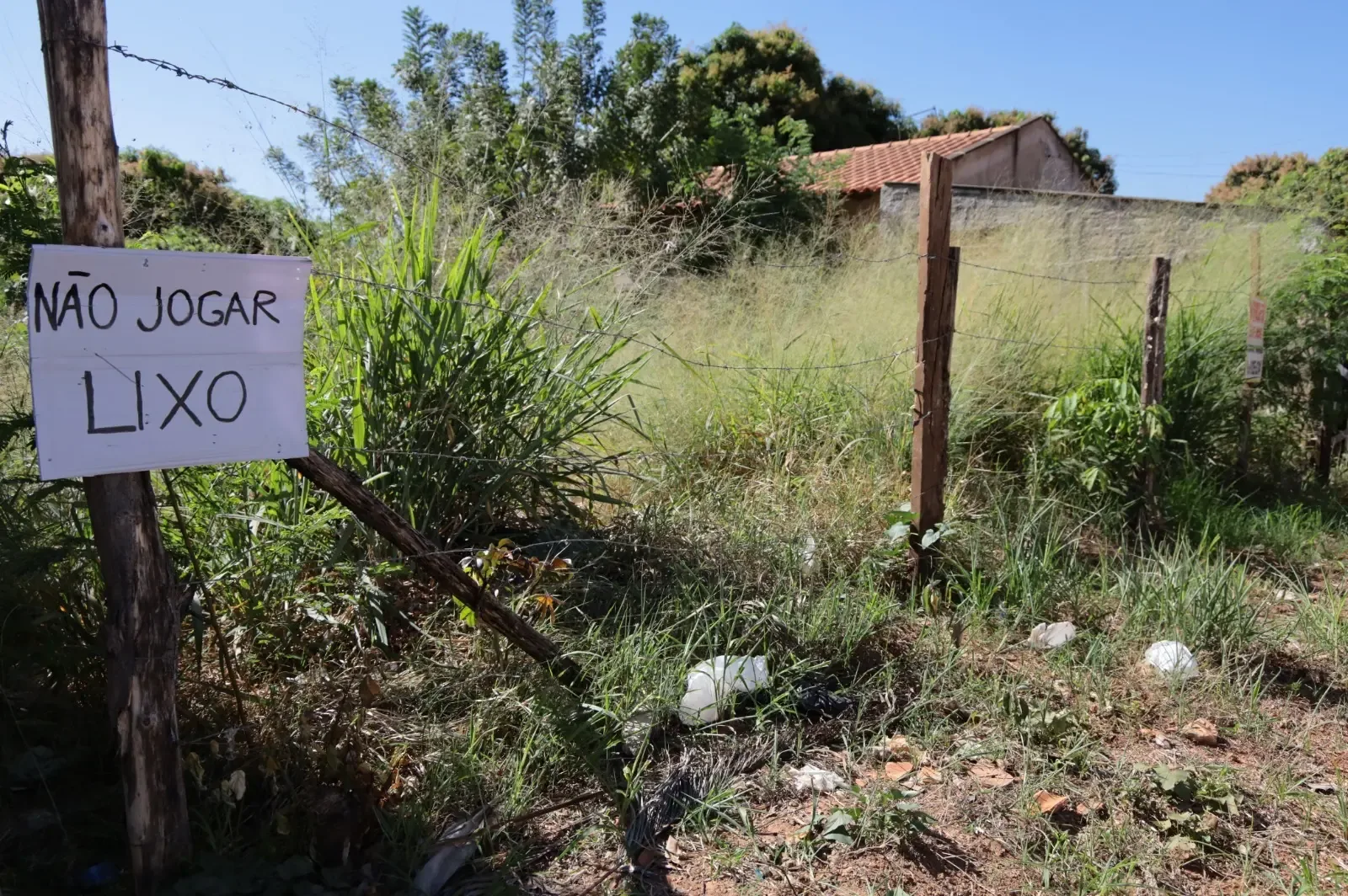Aparecida define novas regras para limpeza de lotes baldios; entenda o que muda para os proprietários