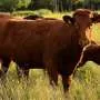 Huge, specially designed heat pump saves a Norwegian agricultural cooperative millions