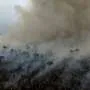 Fires in Brazil's Amazon dropped to historic low in 2025