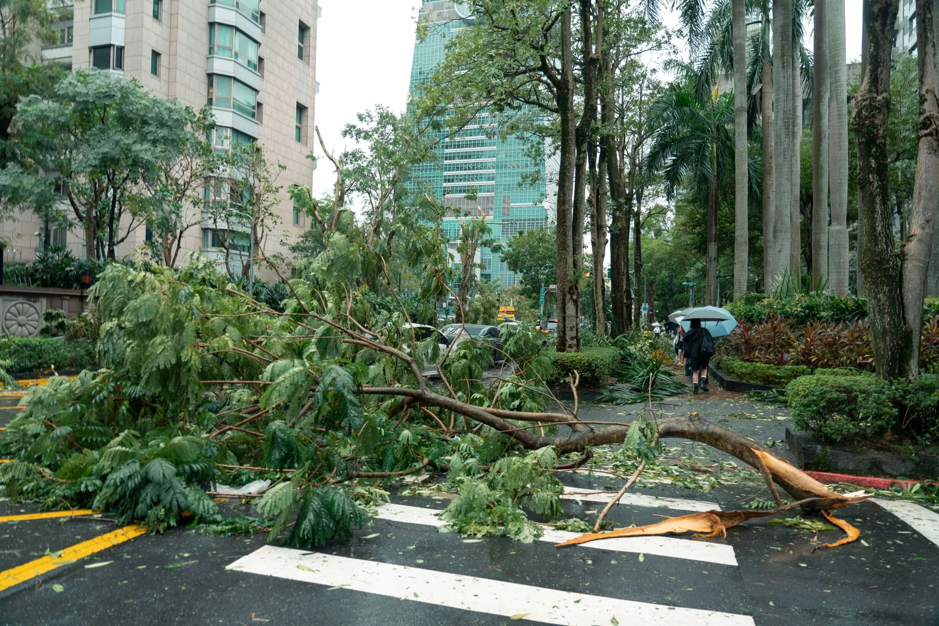 Perguntas e respostas: O impacto do tufão Bavi e outros desastres naturais