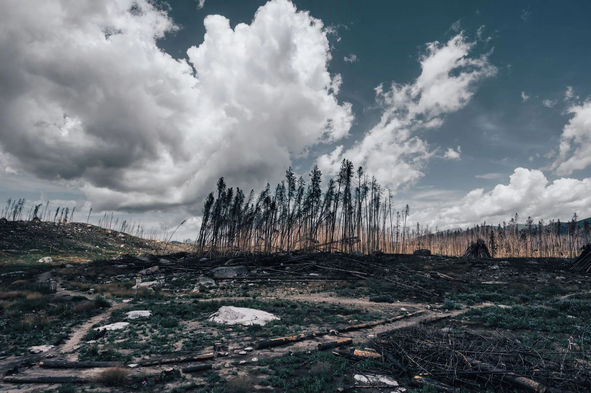 Análise: A Conexão entre Eventos Climáticos e Sustentabilidade Global
