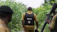 Cartéis mexicanos transferem laboratórios de metanfetamina para a Nigéria