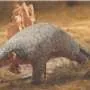Himalayan pangolin emerges as distinct species, confirmed with DNA from 19th-century specimen