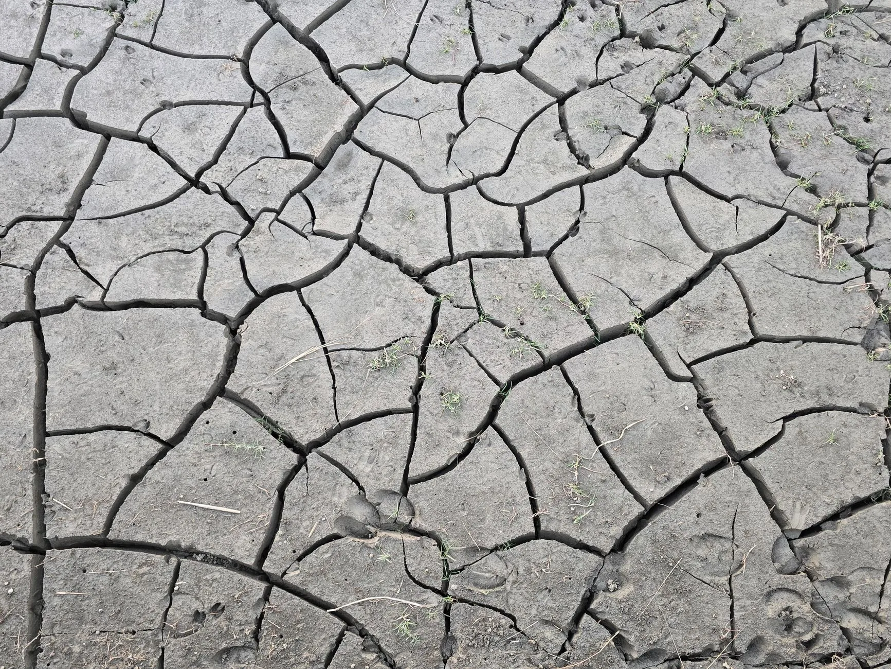 Contexto: A Urgência das Mudanças Climáticas e Seus Efeitos Imediatos
