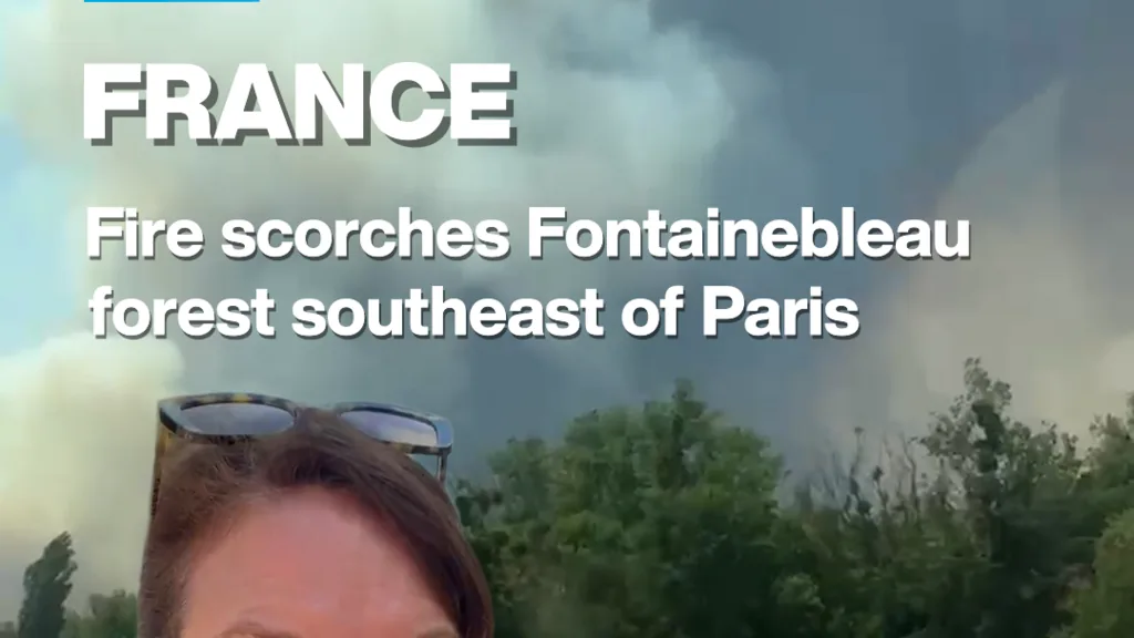 Incêndio atinge floresta de Fontainebleau, no sudeste de Paris
