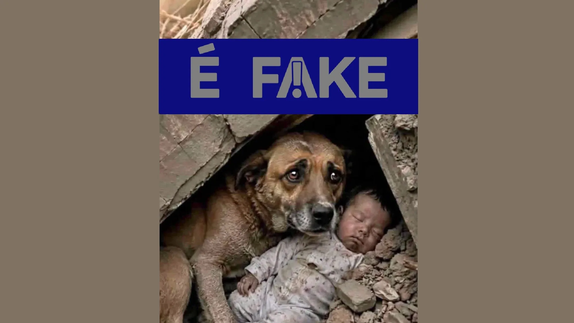 Imagem de cachorro protegendo bebê em terremoto na Venezuela é falsa