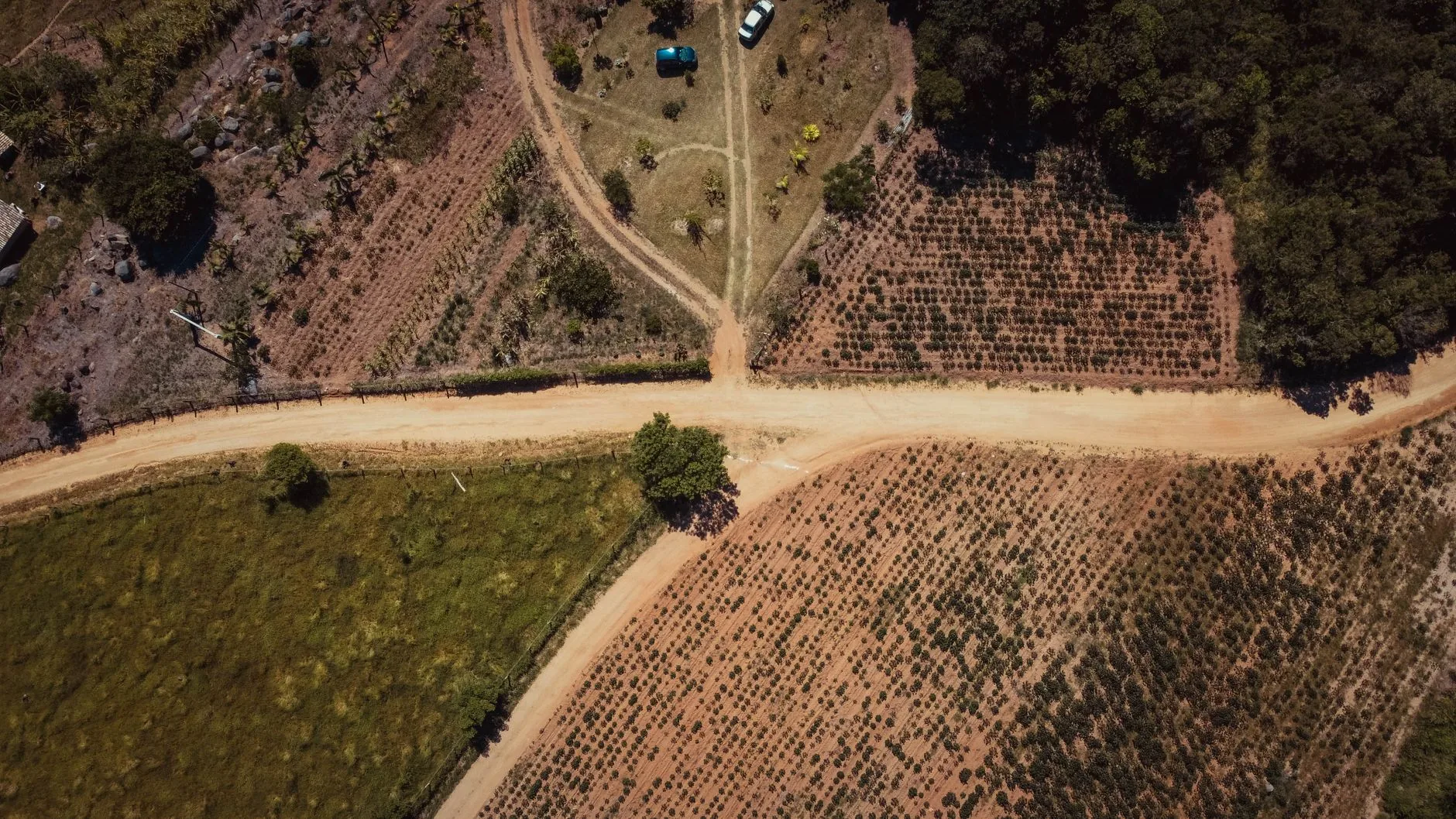 Resolução CMN 5.314 não extinguiu o direito ao alongamento do crédito rural