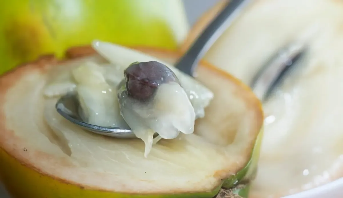 Parece mamão, mas tem gosto de doce de leite com mel; conheça a fruta que virou fenômeno