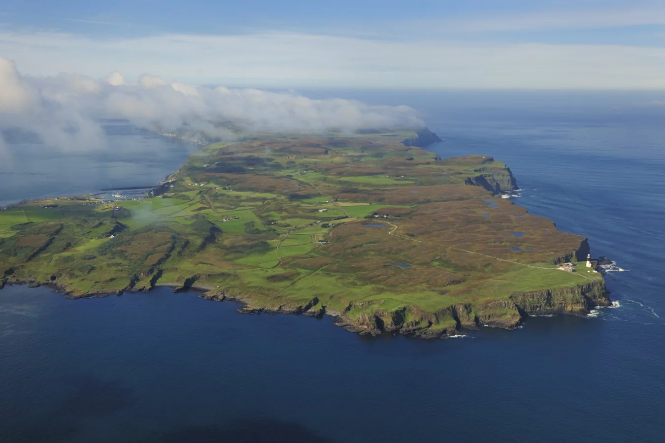 Rathlin Island avança na erradicação de ratos para salvar aves marinhas
