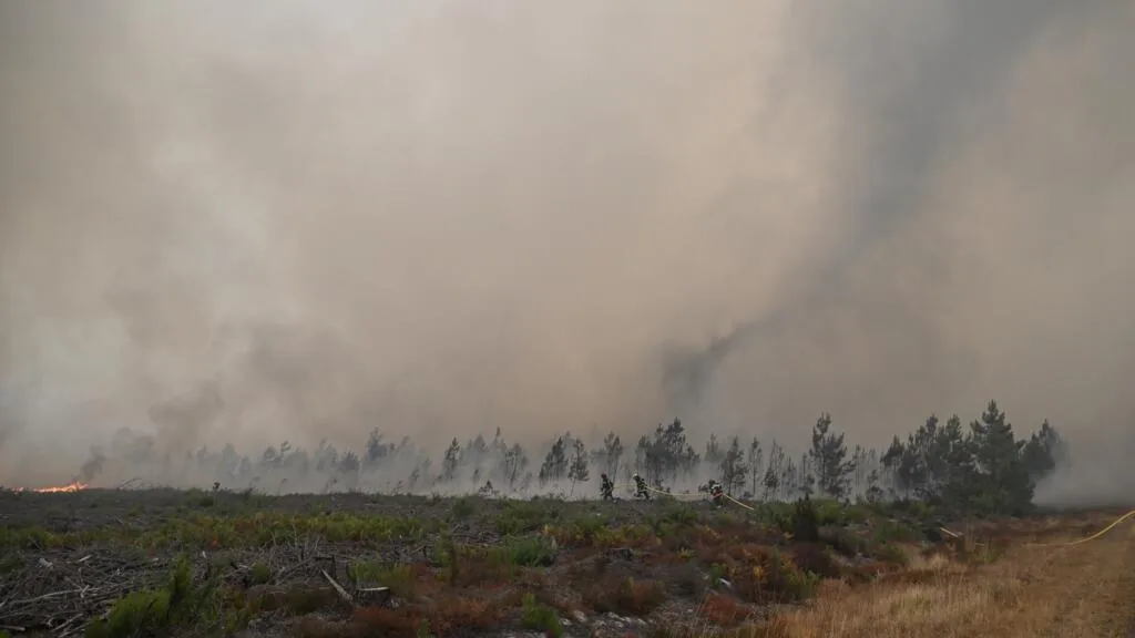 Wildfires: The ominous 'fire clouds' or 'pyrocumulonimbus' seen in France for the first time