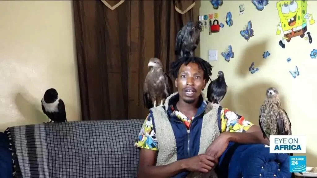 O 'Homem-Pássaro' do Quênia ganha fama com aves resgatadas e levanta preocupações de saúde