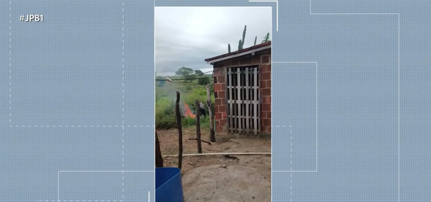 Justiça mantém prisão de homem suspeito de espancar cachorro e jogar animal em fogueira no Agreste da PB
