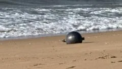 Autoridades australianas investigam esferas misteriosas em praia